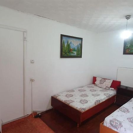 Casa Pitaru Hotel Calafat Luaran gambar